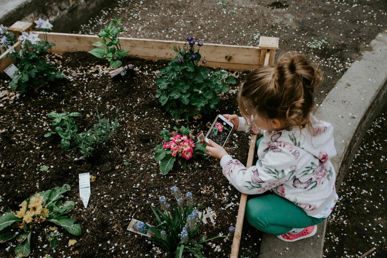 Le rôle vital de l'analyse des sols dans les jardins et les fermes prospères