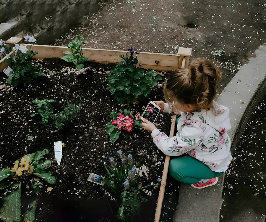 Why Soil Testing Is Essential for Healthy Gardens and Higher Crop Yields？