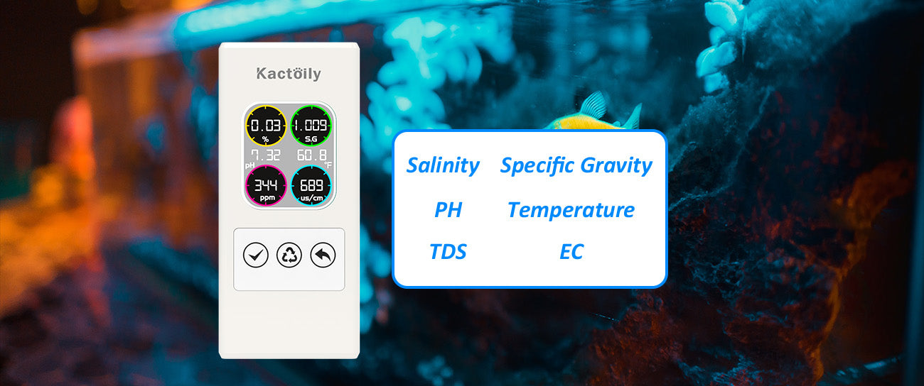 The Relationship between EC, TDS, Salinity, and SG