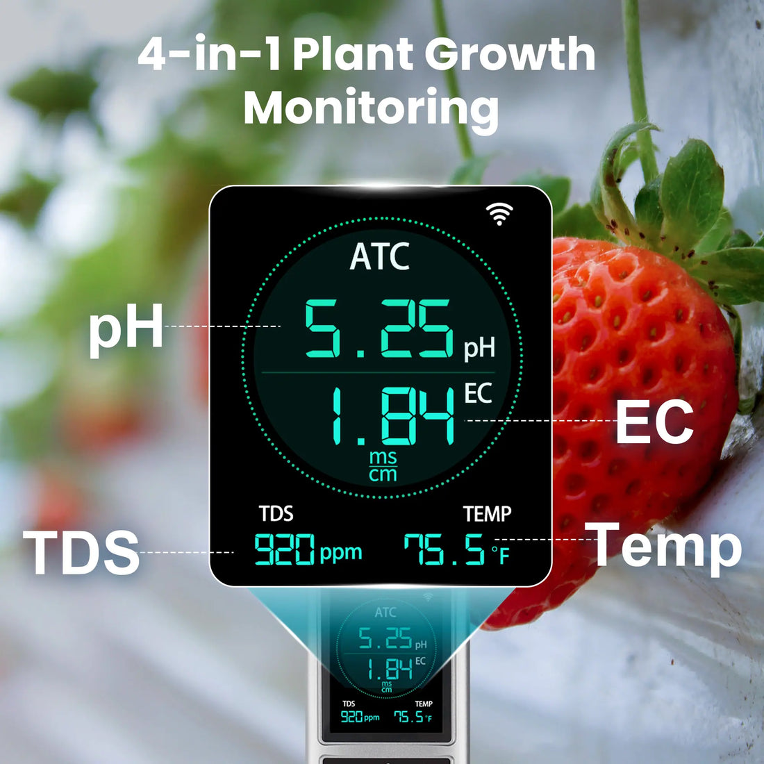 Kactoily 4-in-1 Hydroponischer Monitor - pH, EC